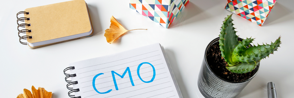 Why You Should Hire An Outsourced CMO
